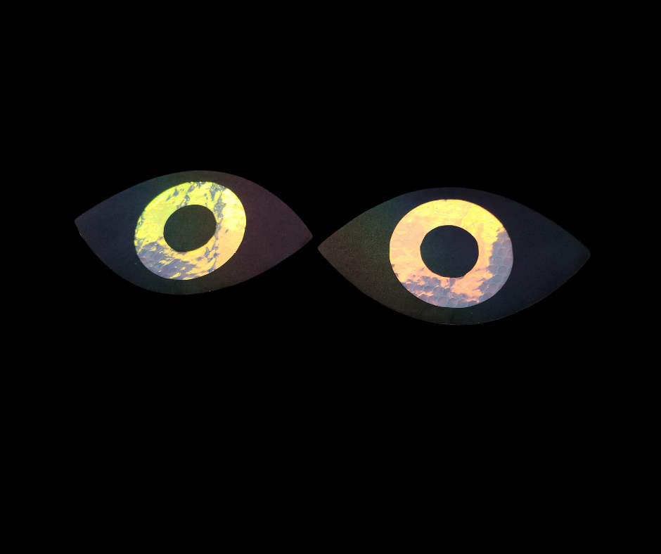 HoloNet Reflective Eye
